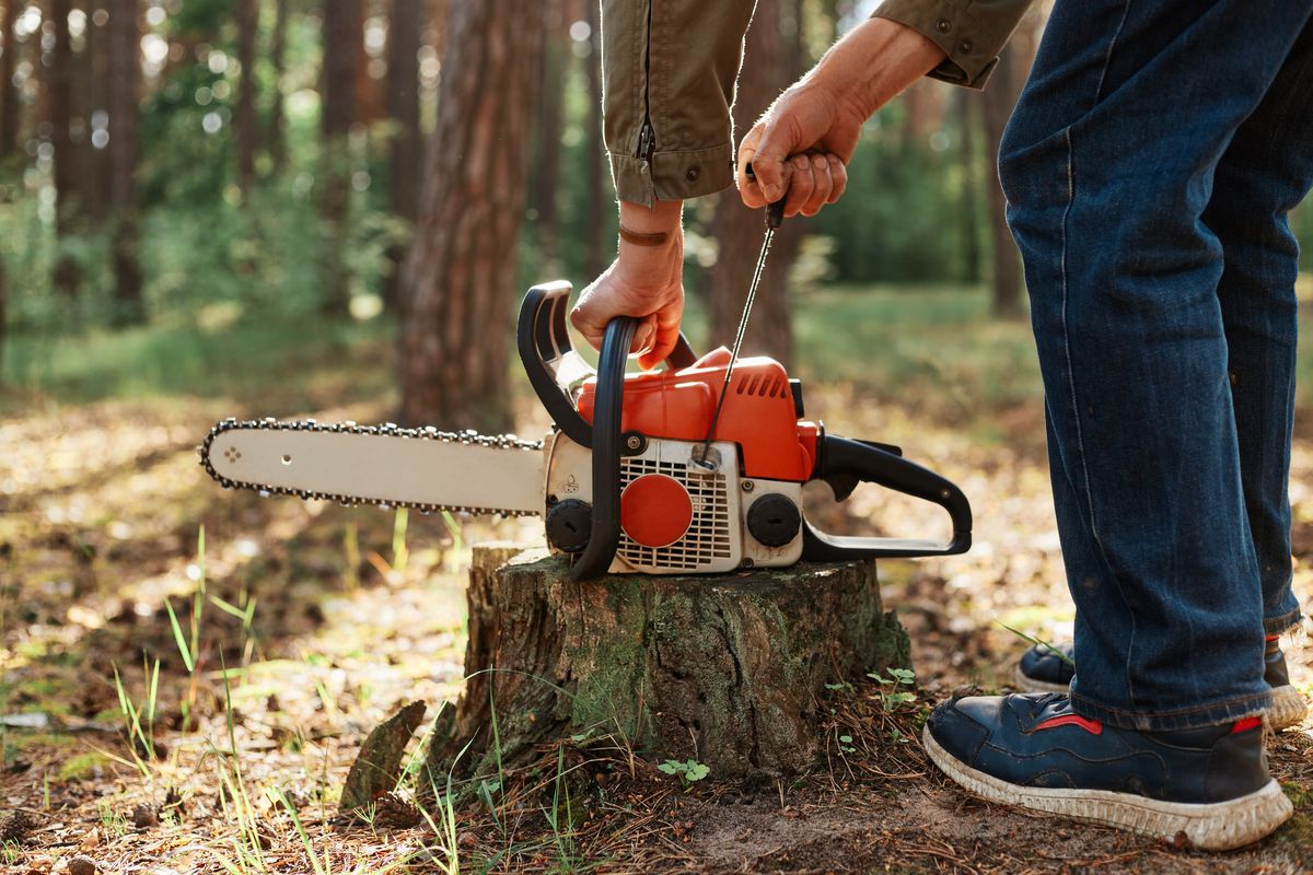 Tree service near me in Champaign, IL - chainsaw on a tree stump